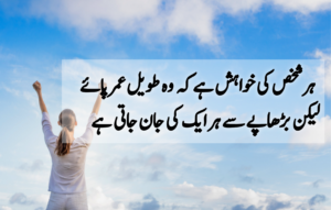 Urdu Quotes about Life 