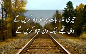 Urdu Poetry 2 Lines