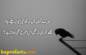 Sad Urdu Poetry