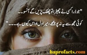 Urdu Poetry 2 Lines