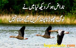 Sad Urdu Poetry