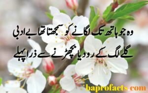 Sad Urdu Poetry