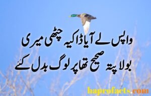 Sad Urdu Poetry