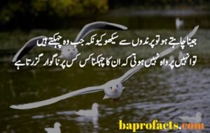 Best Urdu Quotes