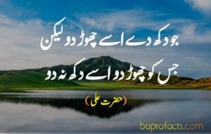 Hazrat Ali Quotes in Urdu