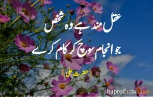 Hazrat Ali Quotes in Urdu