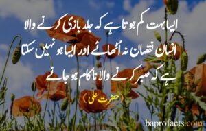 Hazrat Ali Quotes in Urdu