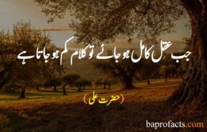 Hazrat Ali Quotes in Urdu