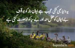 Hazrat Ali Quotes in Urdu