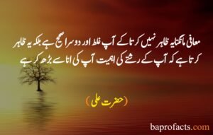 Hazrat Ali Quotes in Urdu