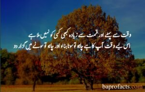 Motivational Quotes in Urdu