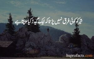 Motivational Quotes in Urdu