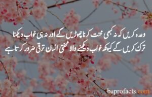 Motivational Quotes in Urdu