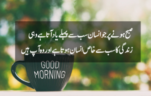 Good Morning Quotes in Urdu