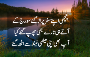 Good Morning Quotes in Urdu