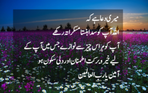 Good Morning Quotes in Urdu