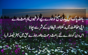 Good Morning Quotes in Urdu