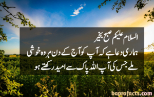 Good Morning Quotes in Urdu