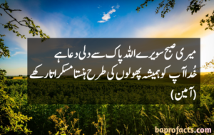 Good Morning Quotes in Urdu