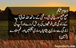 Good Morning Quotes in Urdu