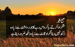 Good Morning Quotes in Urdu