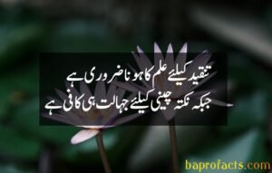 Best Urdu Quotes