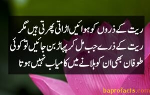 Best Urdu Quotes