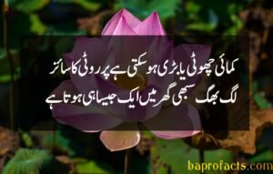 Motivational Quotes in Urdu