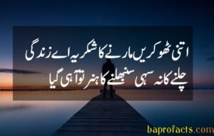 Urdu Quotes about Life