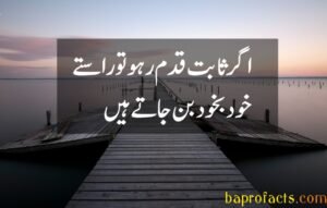 Urdu Quotes about Life