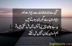 Urdu Quotes about Life