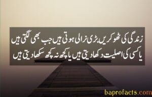 Urdu Quotes about Life