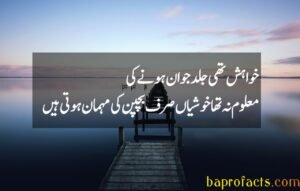 Urdu Quotes about Life