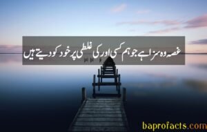 Urdu Quotes about Life