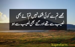 Sad Poetry in Urdu