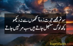 Sad Poetry in Urdu