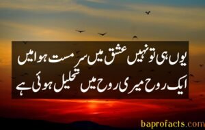 Sad Poetry in Urdu