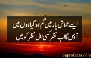 Sad Poetry in Urdu