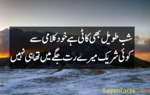 Urdu Poetry 2 Lines