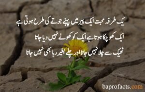 Love Quotes in Urdu