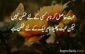 Love Quotes in Urdu