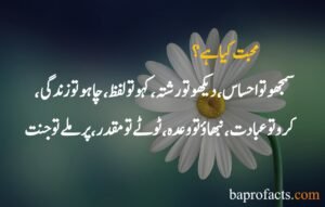 Love Quotes in Urdu