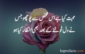 Love Quotes in Urdu