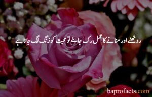 Love Quotes in Urdu