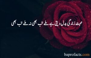 Love Quotes in Urdu