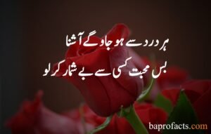 Love Quotes in Urdu