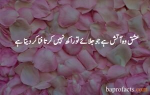 Love Quotes in Urdu