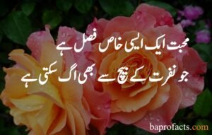 Love Quotes in Urdu