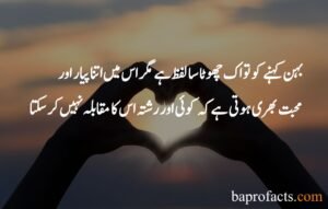 Brother Sister Quotes in Urdu