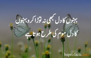 Brother Sister Quotes in Urdu